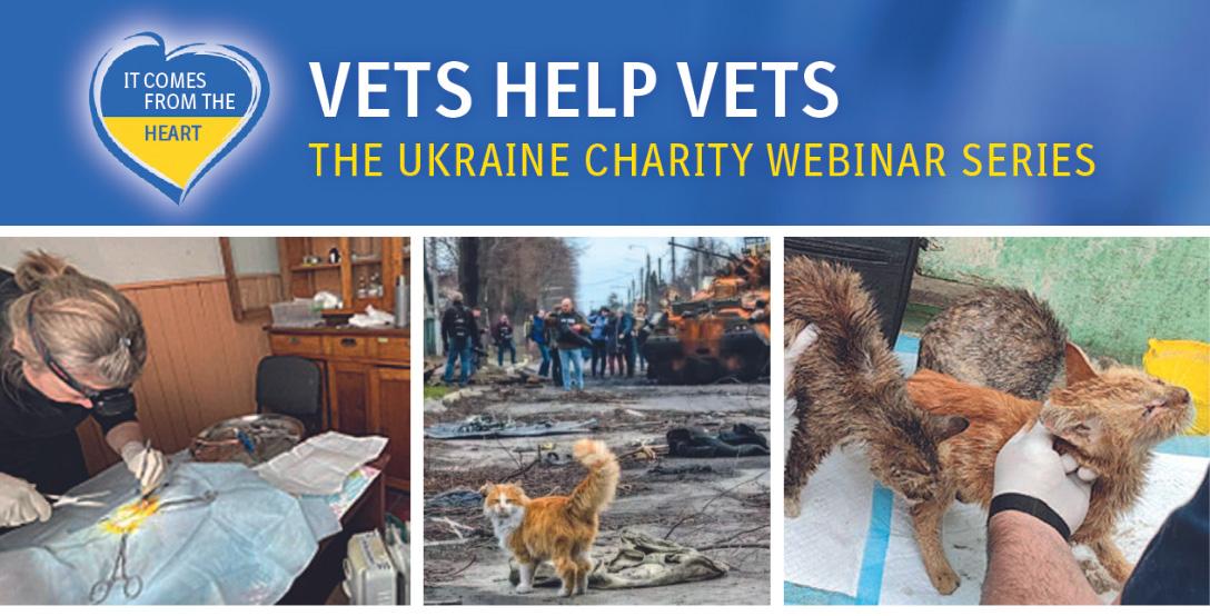 Vets-help-vets-Vetportal