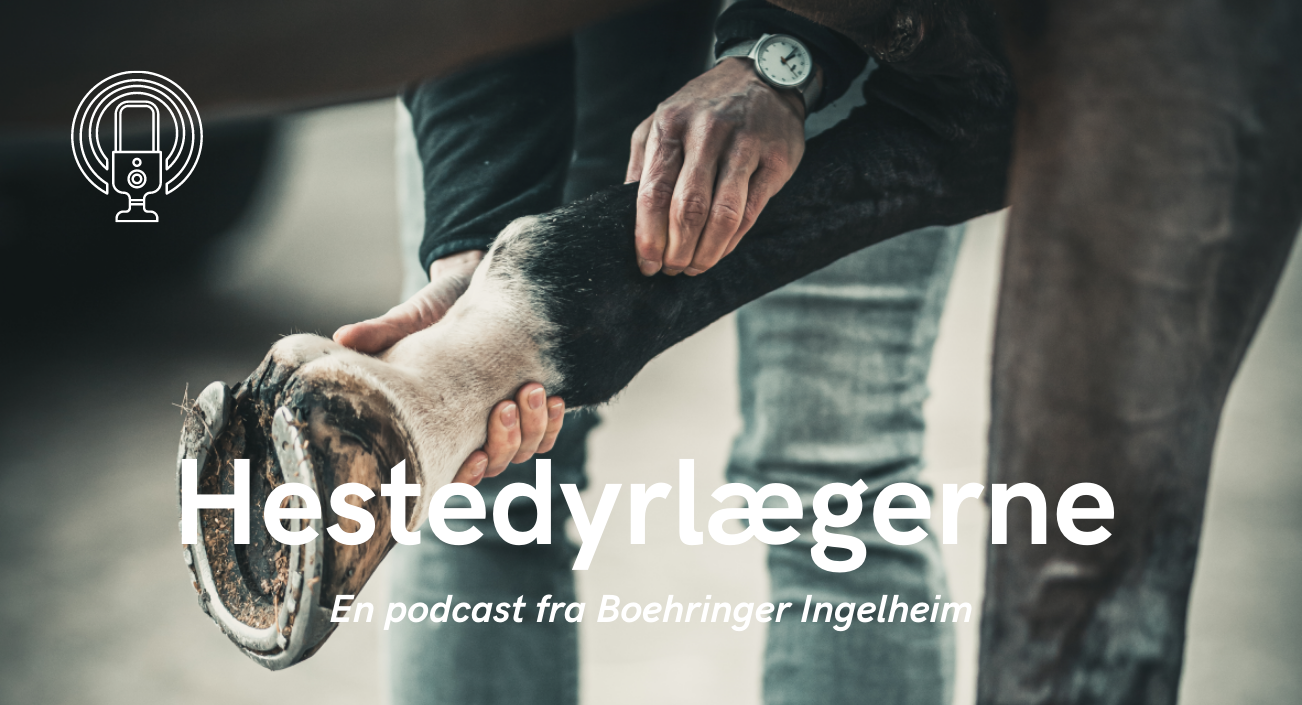 Hestdyrlægerne del 4