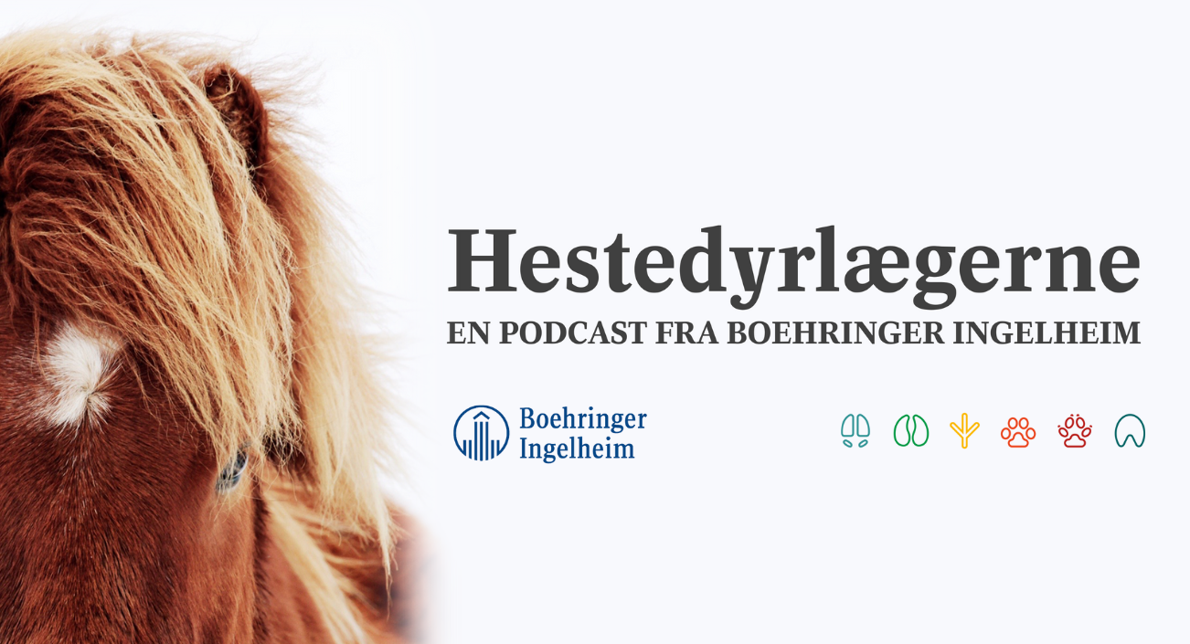 Hestdyrlægerne
