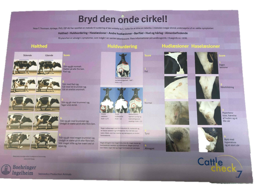 Bryd den onde cirkel!