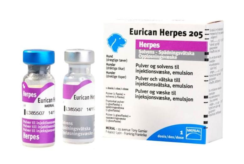 Eurican® Herpes 205