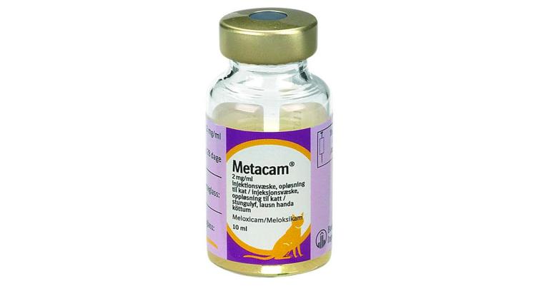 Metacam® til kat, injektion