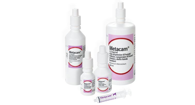 Metacam® til hund, oral suspension