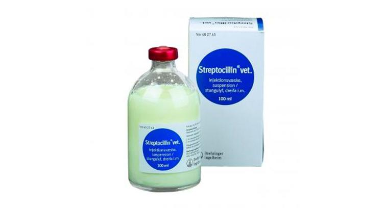 Streptocillin® vet., injektion