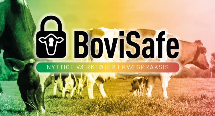 BoviSafe - Nyttige værktøjer i kvægpraksis