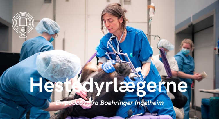 Hestdyrlægerne