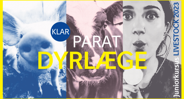 KLAR PARAT DYRLÆGE
