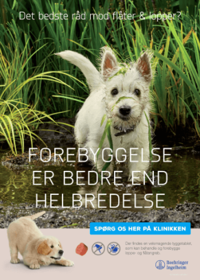 Poster med hund i mudderpøl