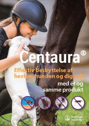 Centaura brochure