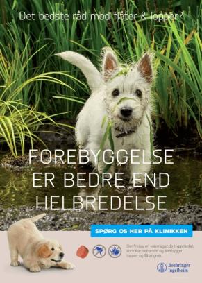 Plakat med billede af hund i mudderpøl