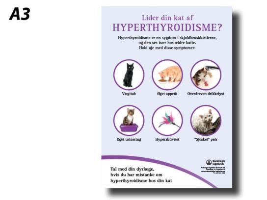 Lider din kat af hyperthyroidisme?