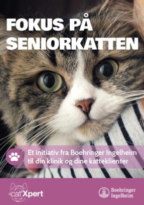 Folder om seniorkatteaftener