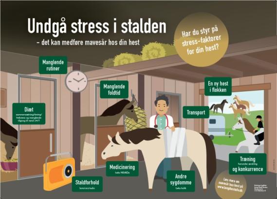 Staldplakat - Undgå stress i stalden