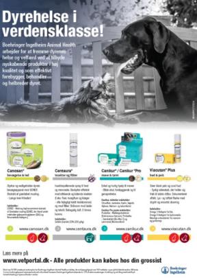 NCC one pager
