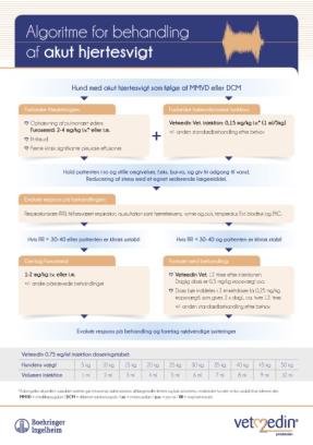 Algoritme for behandling af akut hjertesvigt