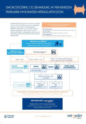 MMVD - Diagnosticering og behandling