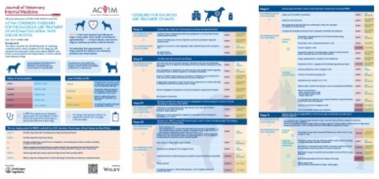 ACVIM consensus statement MMVD 2019 - Wiley - hard copies