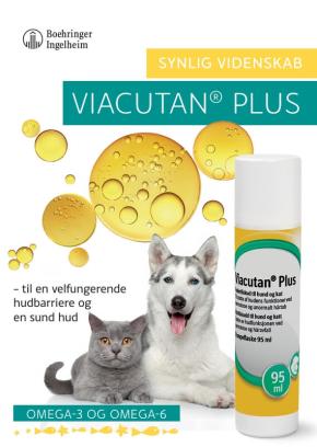 Veterinærbrochure: Information om Viacutan Plus