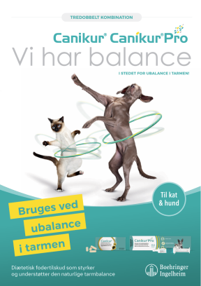 Canikur Canikur Pro brochure – Vi har balance i stedet for ubalance i tarmen