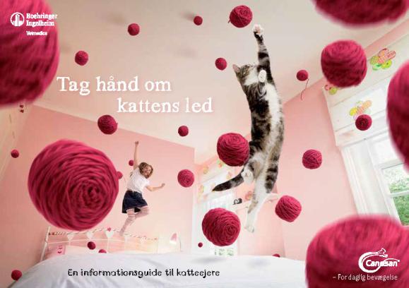 Canosan - Tag hånd om kattens led