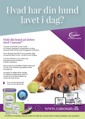 Canosan plakat: Hvad har din hund lavet i dag? Canosan plakat: Hvad har din hund lavet i dag?