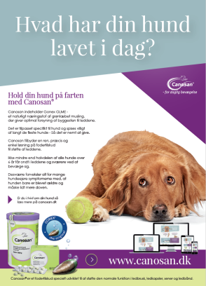 Canosan plakat: Hvad har din hund lavet i dag?