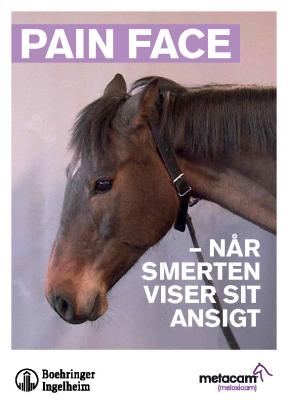 Pain Face - Når smerten viser sit ansigt Pain Face - Når smerten viser sit ansigt