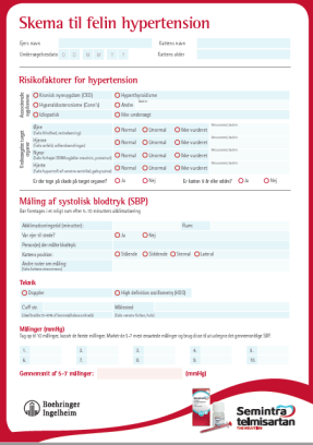 Hypertensionskema til kat