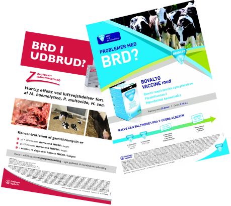 Problemer med BRD? Problemer med BRD?
