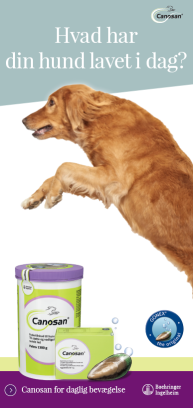 Canosan - Hvad har din hund lavet i dag Canosan - Hvad har din hund lavet i dag