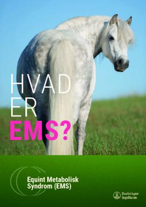 Hvad er EMS?